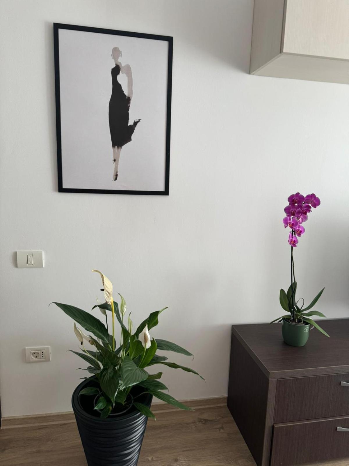 Apart Mihai Viteazu Residence Braşov Eksteriør billede