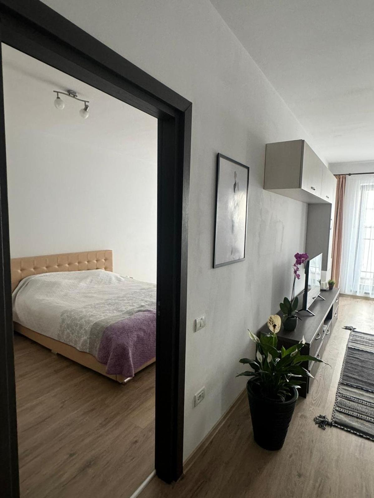 Apart Mihai Viteazu Residence Braşov Eksteriør billede